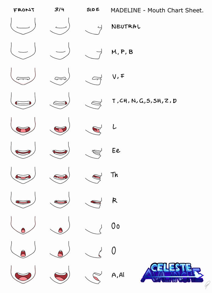 ANGLES MOUTH CHART