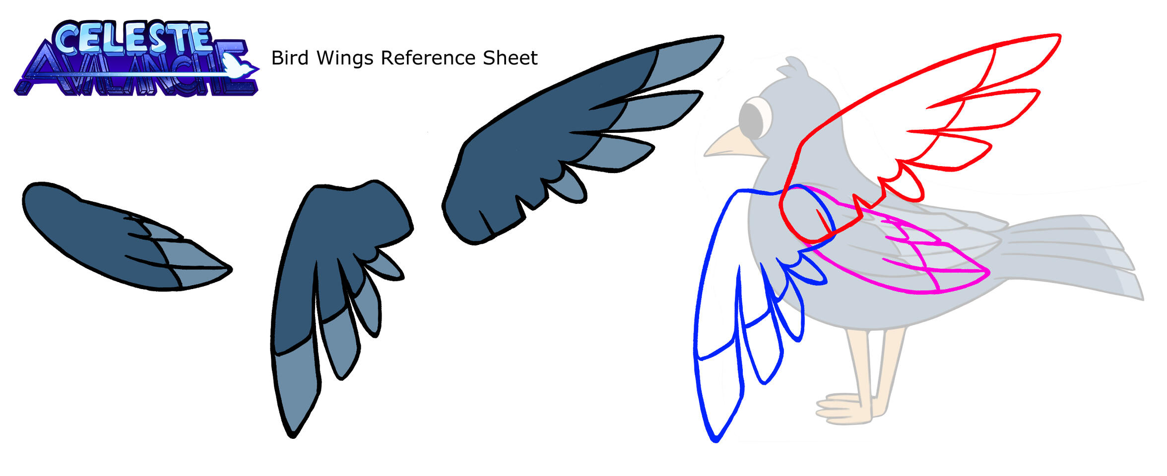 BIRD WINGS REFERENCE